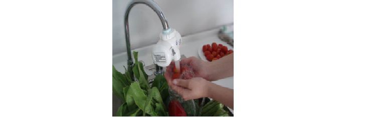Ozone Disinfection of Fruits and Vegetables