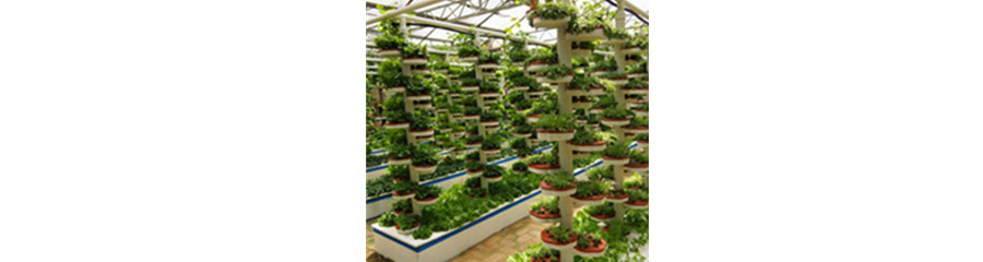 Application of Ozone Generator in HorticultureHorticulture