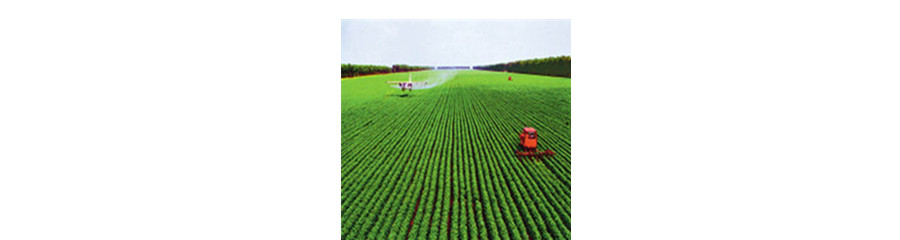 Ozone Application on Agriculture